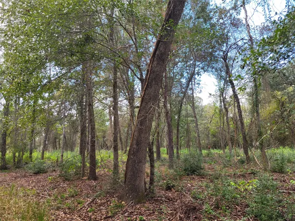 $479,999 | 27055 Sandy Creek Drive, Magnolia, TX 77355