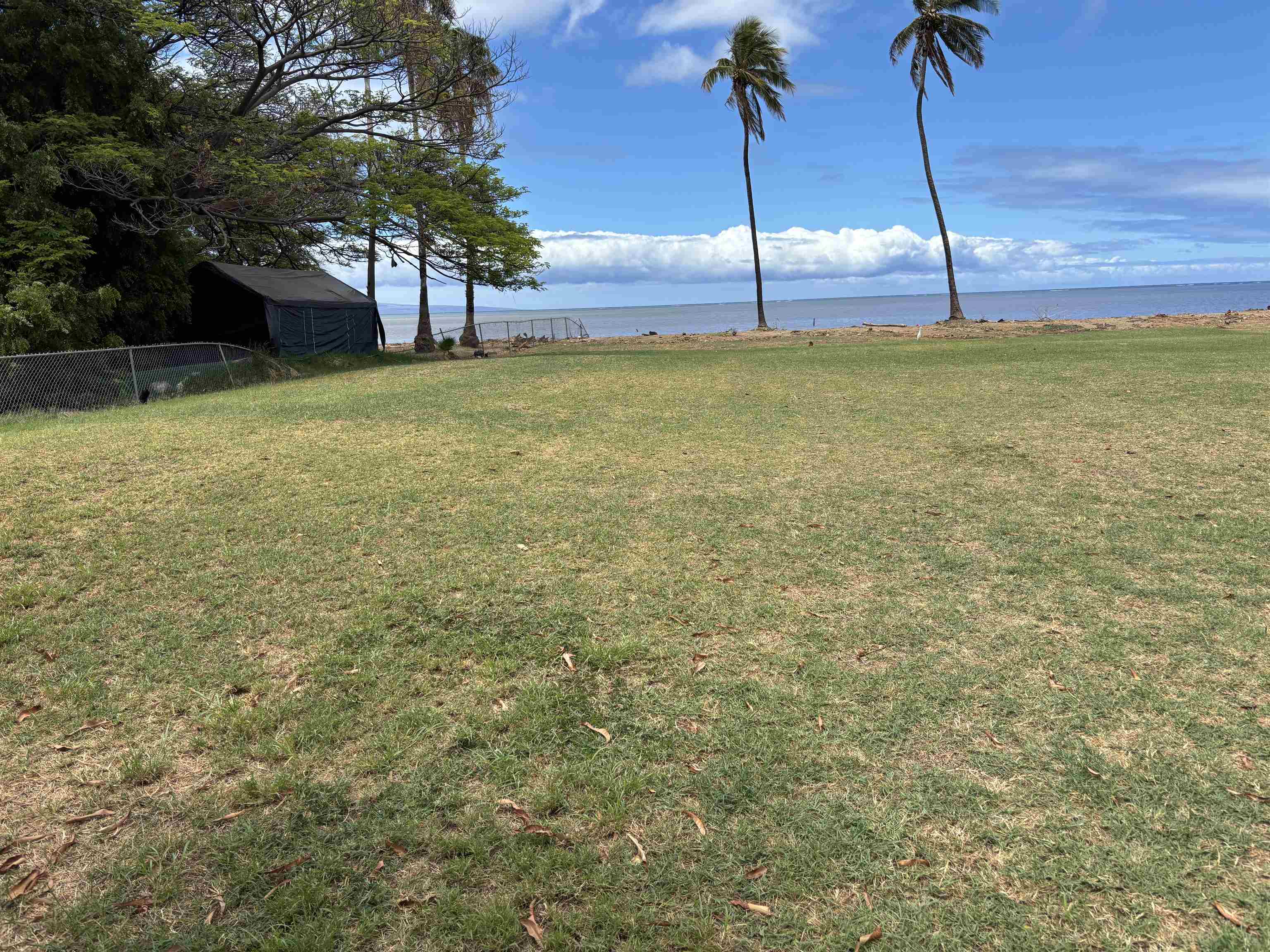 260 Seaside Street Kaunakakai, HI 96748 - Photo 15 of 17 a view of a yard with a tree