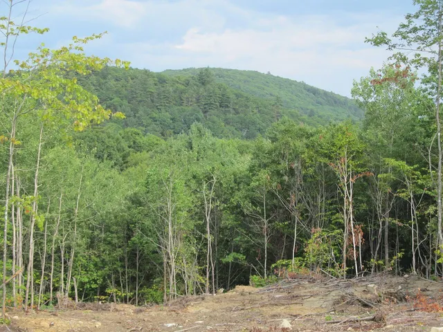 $57,500 | 6.46 McAlister Road, Buckfield, ME 04220