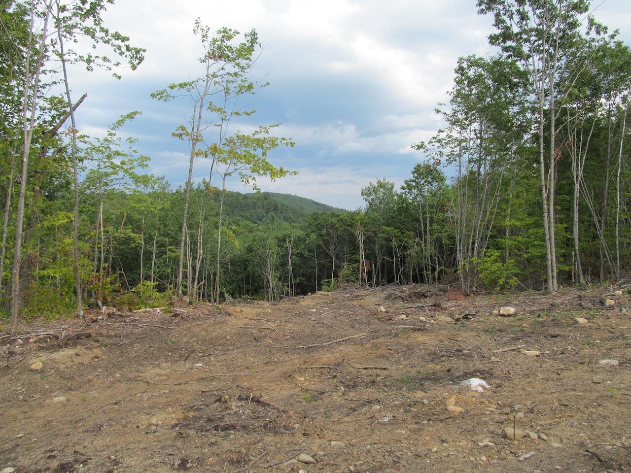 6.46 McAlister Road Buckfield, ME 04220 - Photo 11 of 21 IMG_0844