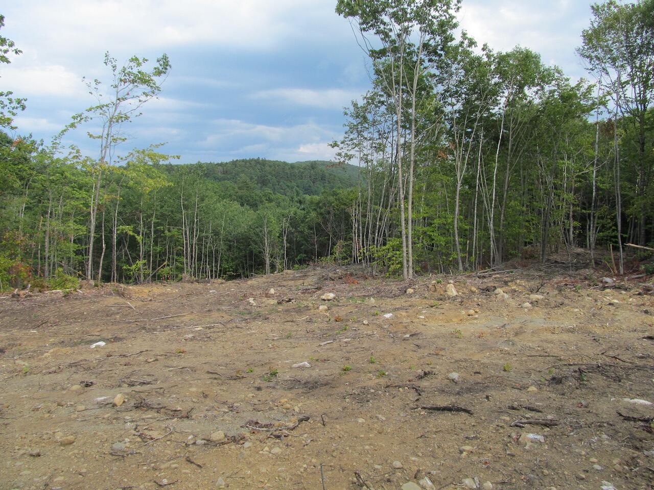 6.46 McAlister Road Buckfield, ME 04220 - Photo 12 of 21 IMG_0845