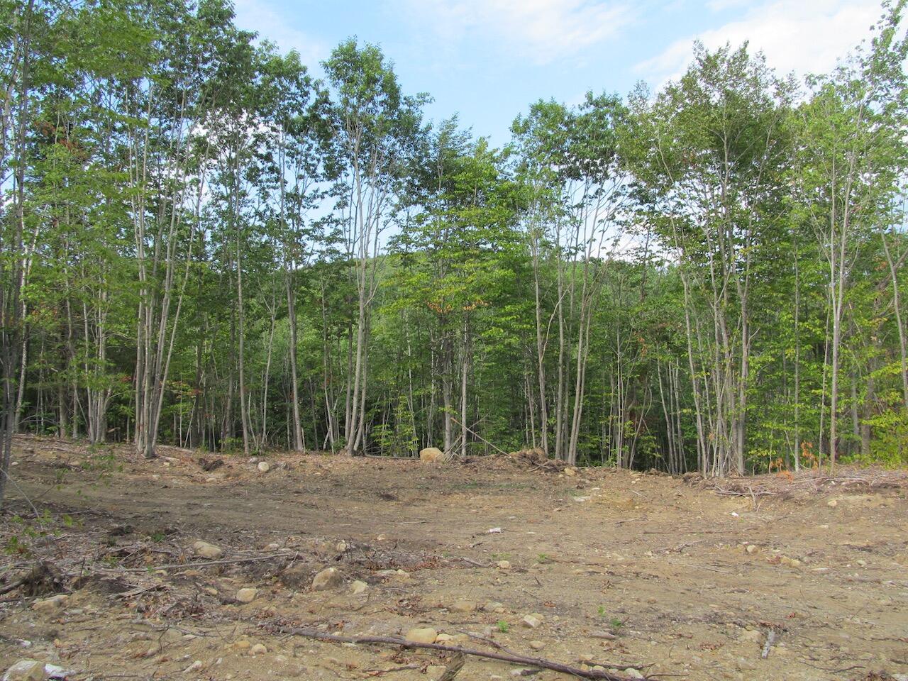 6.46 McAlister Road Buckfield, ME 04220 - Photo 12 of 21 IMG_0846