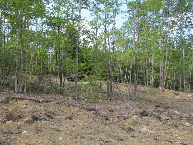 $57,500 | 6.46 McAlister Road, Buckfield, ME 04220