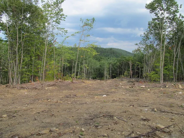 $57,500 | 6.46 McAlister Road, Buckfield, ME 04220