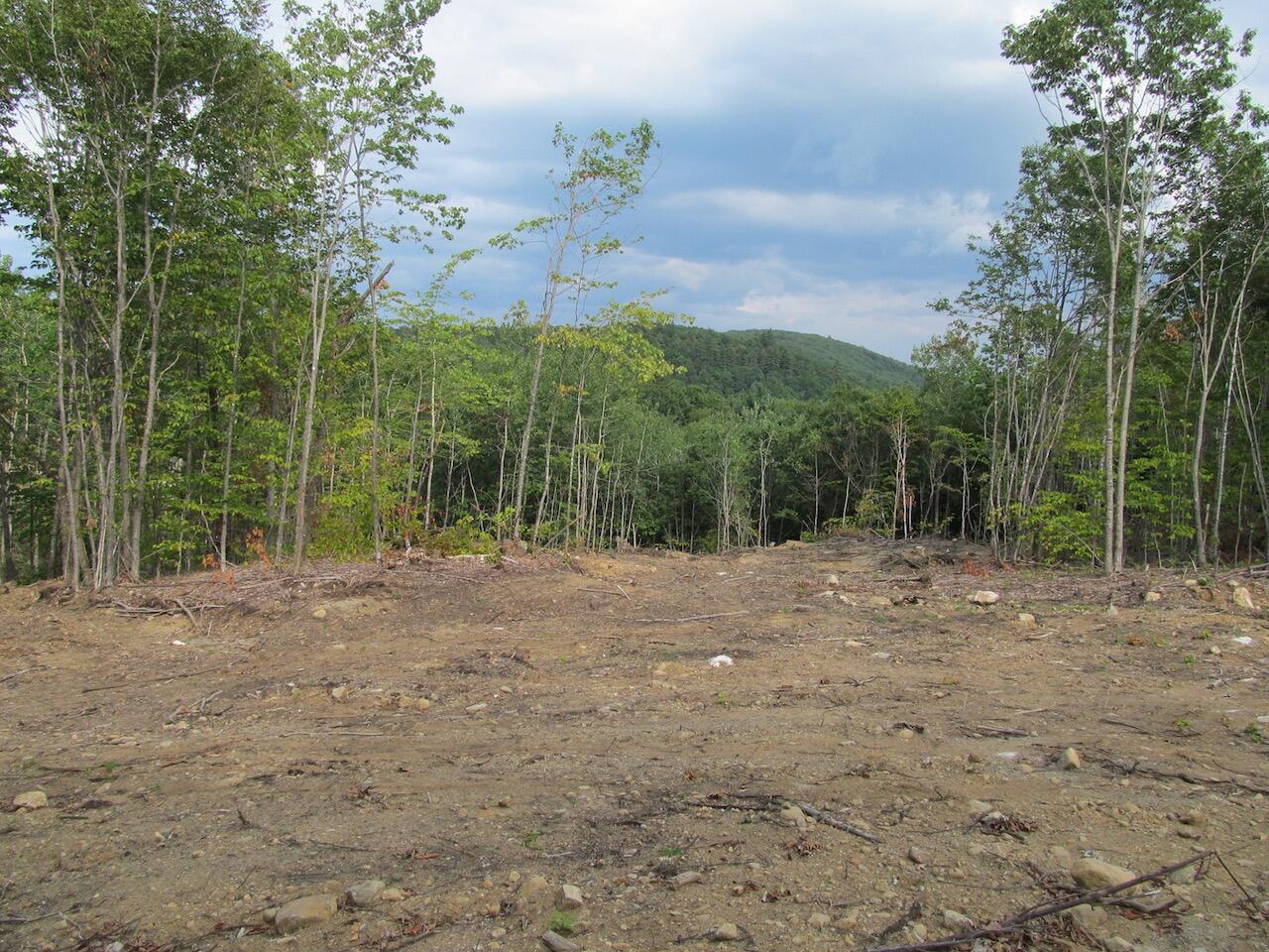 6.46 McAlister Road Buckfield, ME 04220 - Photo 14 of 21 IMG_0848