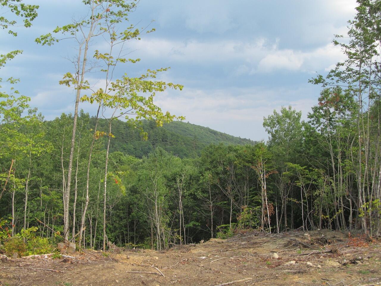 6.46 McAlister Road Buckfield, ME 04220 - Photo 17 of 21 IMG_0851