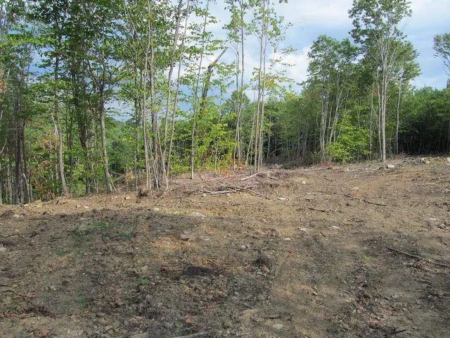 $57,500 | 6.46 McAlister Road, Buckfield, ME 04220