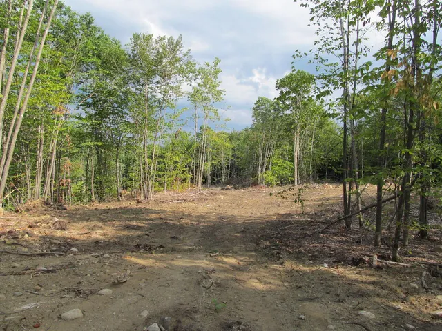 $57,500 | 6.46 McAlister Road, Buckfield, ME 04220