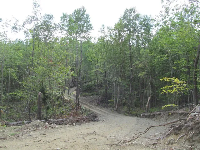 $57,500 | 6.46 McAlister Road, Buckfield, ME 04220