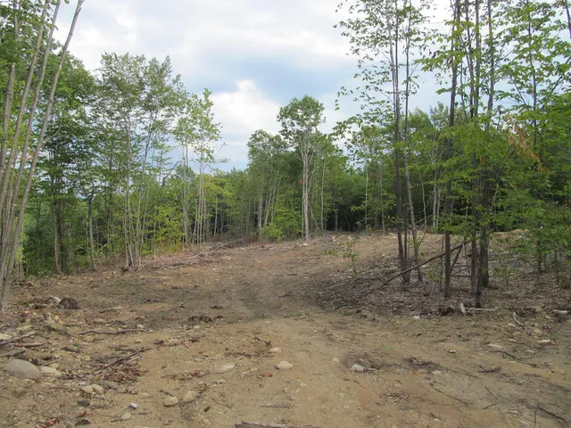 $57,500 | 6.46 McAlister Road, Buckfield, ME 04220