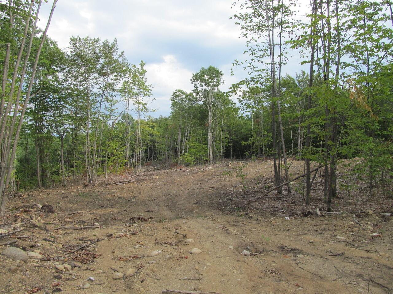 6.46 McAlister Road Buckfield, ME 04220 - Photo 9 of 21 IMG_0842