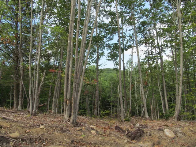 $57,500 | 6.46 McAlister Road, Buckfield, ME 04220