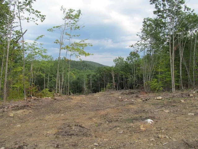 $57,500 | 6.46 McAlister Road, Buckfield, ME 04220