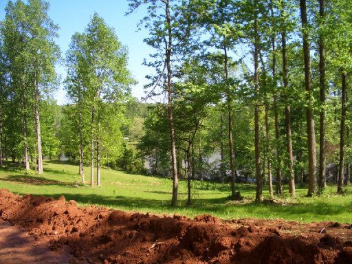 Lot 13 Dogwood Cove Road Spring City, TN 37381 - Photo 4 of 4 Additional Photo