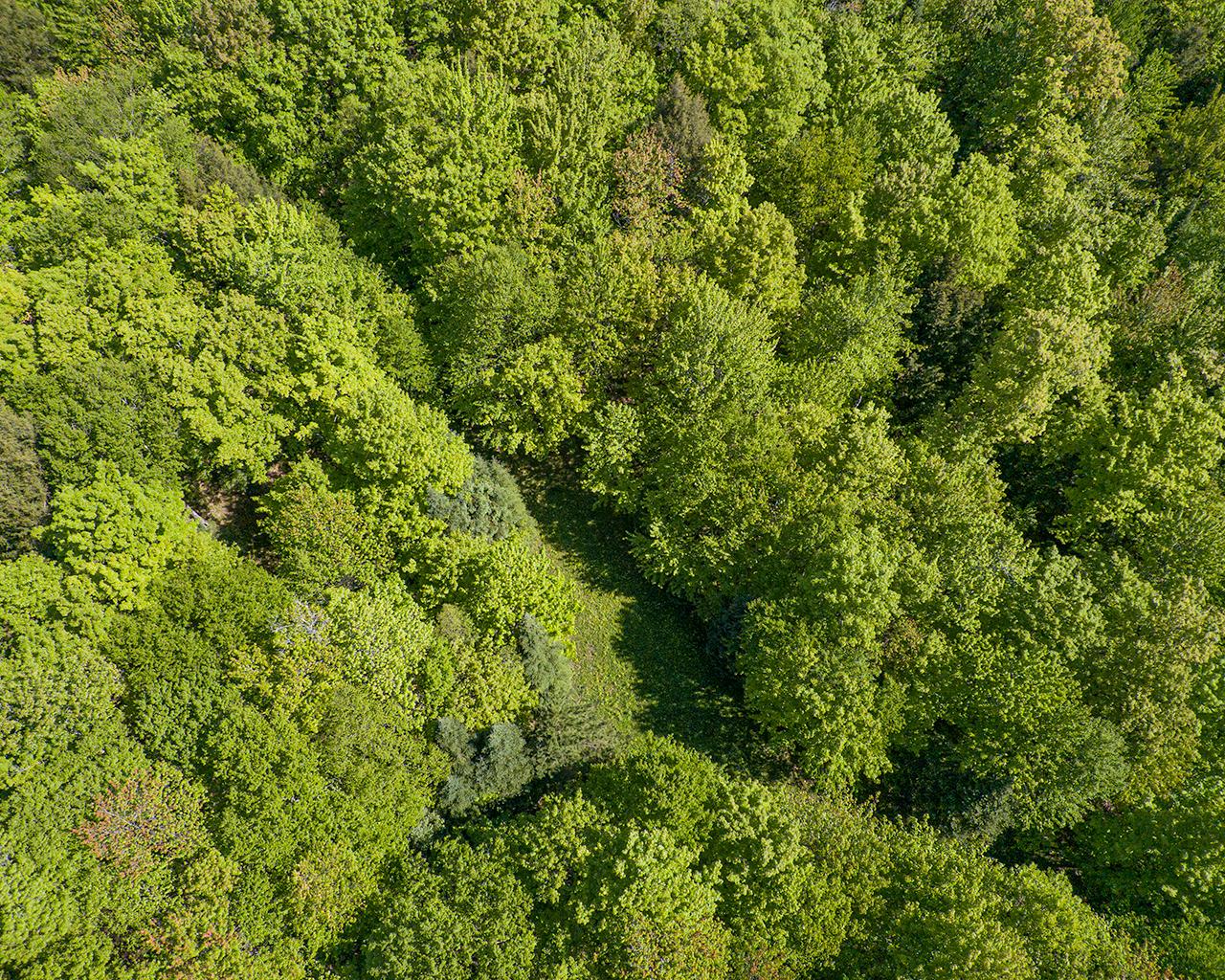 23510 Duck Lake Road Watersmeet, MI 49969 - Photo 23 of 57 Gallery Image 23