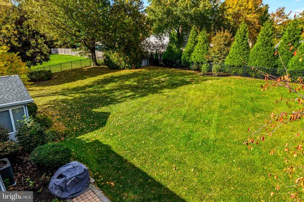 a view of a yard with a tree