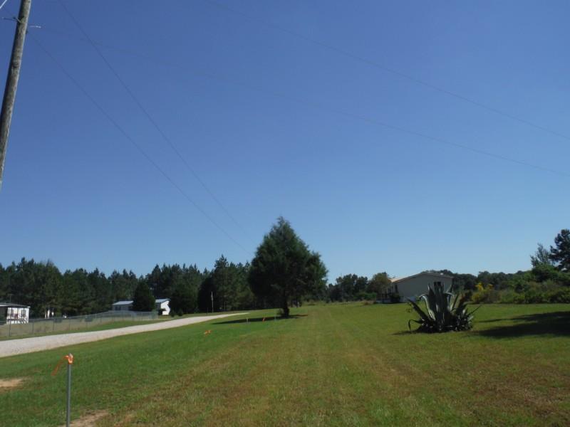 1306 North Morris Street Slocomb, AL 36375 - Photo 17 of 19