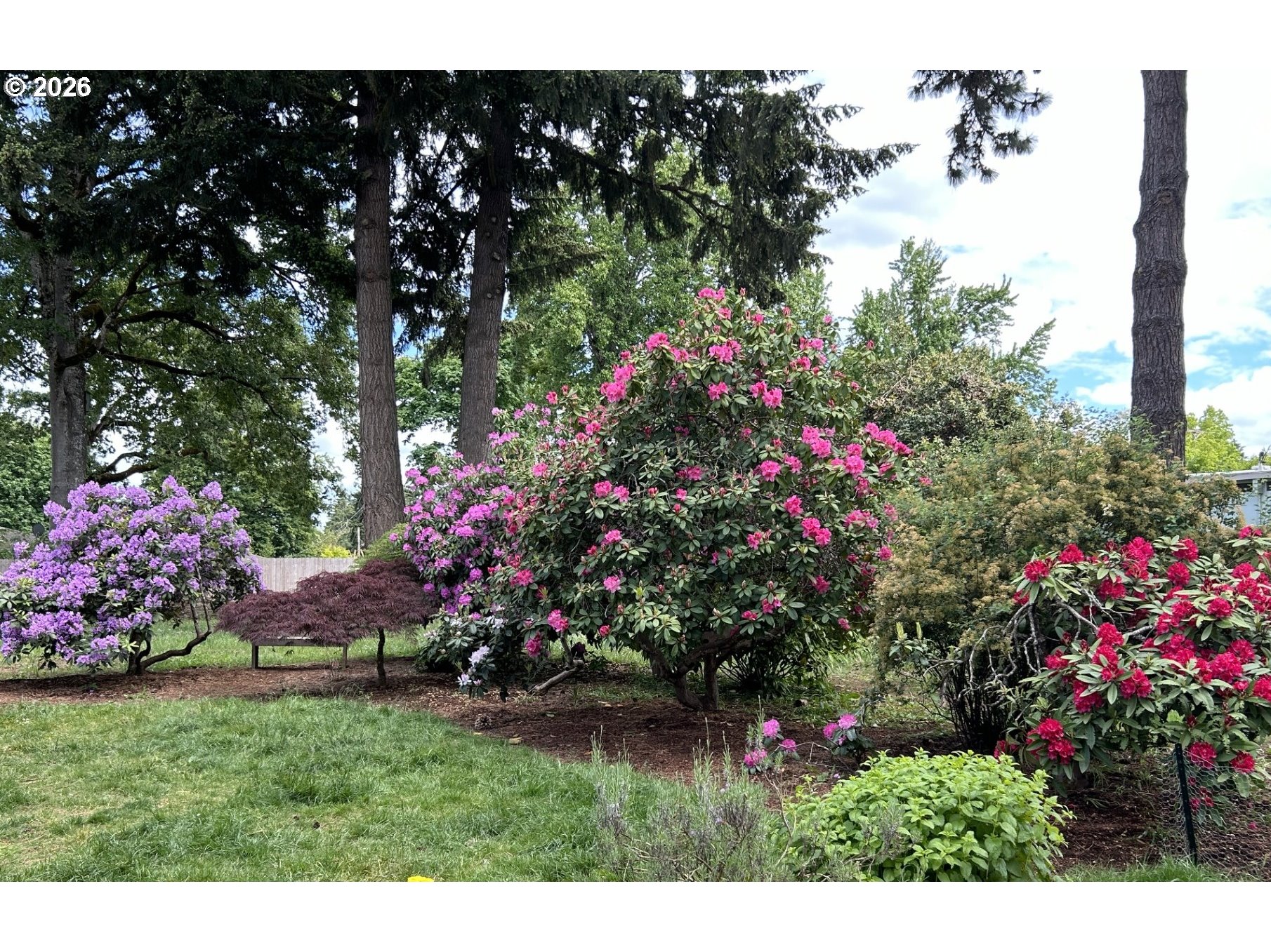 3248 West 15th Avenue Eugene, OR 97402 - Photo 31 of 33 a view of a flower in a garden