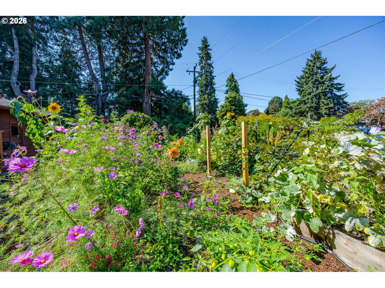3248 West 15th Avenue Eugene, OR 97402 - Photo 32 of 33 a view of a flower in a garden