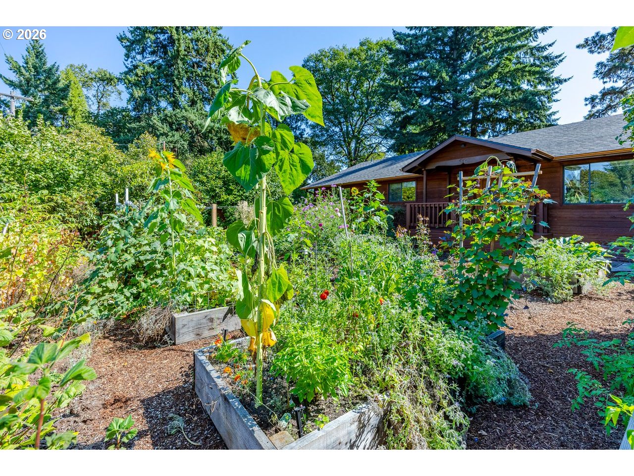3248 West 15th Avenue Eugene, OR 97402 - Photo 33 of 33 a view of a backyard