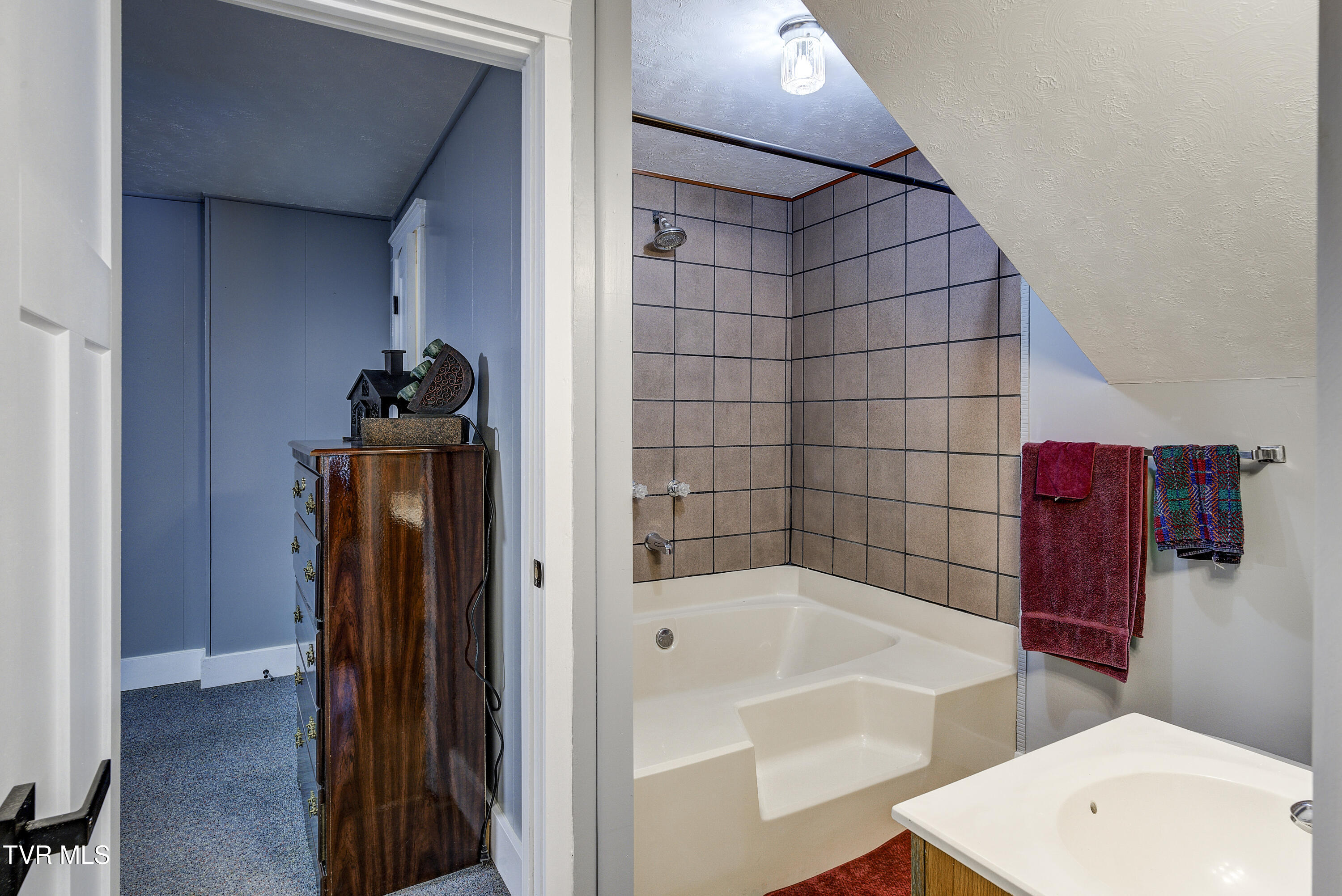 1604 Boones Creek Road Jonesborough, TN 37659 - Photo 48 of 100 Full Bath in Basement