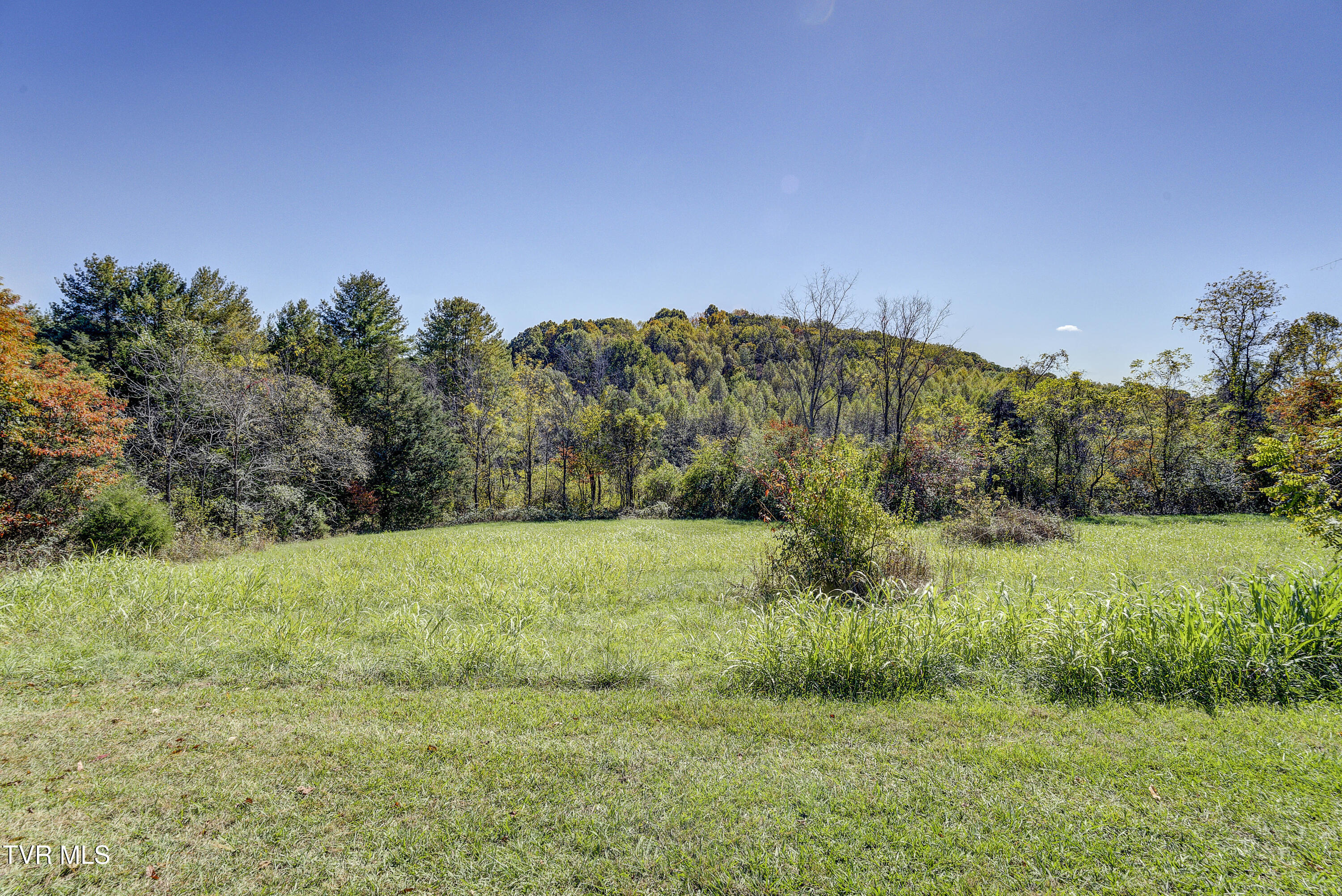 1604 Boones Creek Road Jonesborough, TN 37659 - Photo 71 of 100 Land