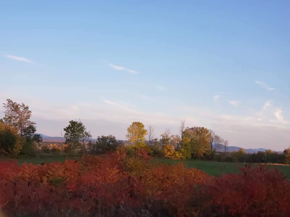 968 Boutah Road Alburgh, VT 05440 - Photo 17 of 22 Gallery Image 17