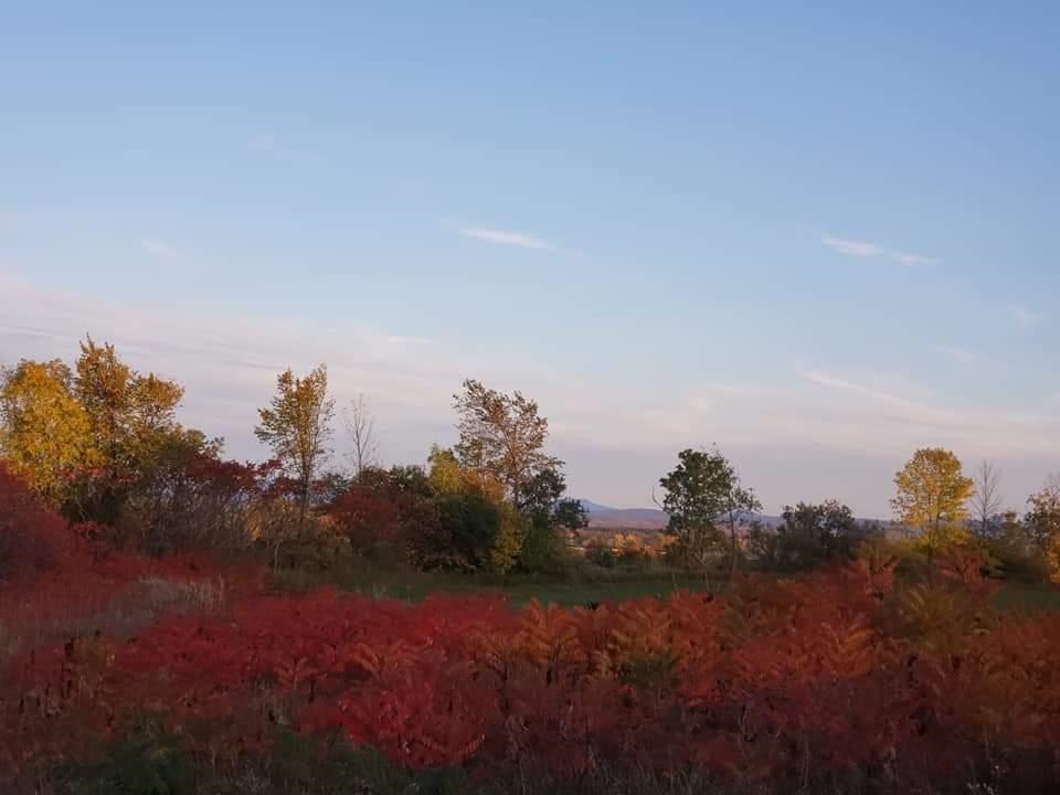 968 Boutah Road Alburgh, VT 05440 - Photo 18 of 22 Gallery Image 18