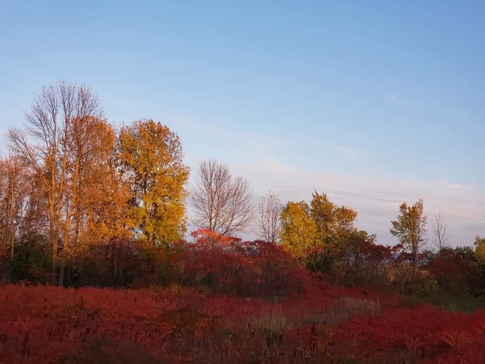 968 Boutah Road Alburgh, VT 05440 - Photo 19 of 22 Gallery Image 19