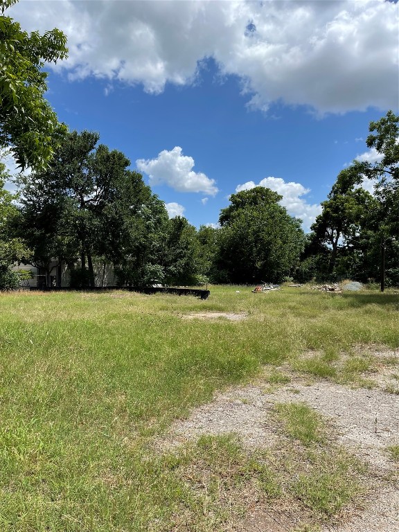 6011 Bolm Road Austin, TX 78721 - Photo 5 of 14 a view of a garden
