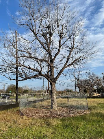 a view of a yard with large trees