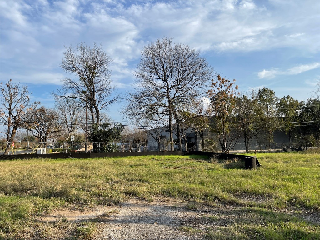 6011 Bolm Road Austin, TX 78721 - Photo 7 of 14 a garden view