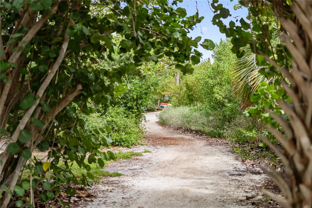 1750 Benjamin Franklin Drive, Unit 6G Sarasota, FL 34236 - Photo 75 of 82 a backyard of a house with lots of green space