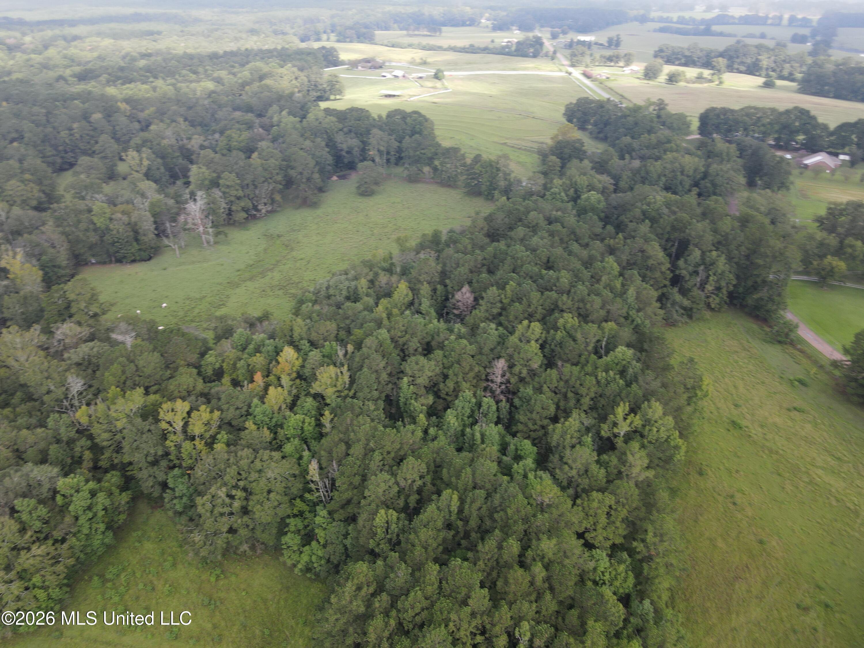 Rock Hill Sumrall, MS 39482 - Photo 12 of 19 DJI_0070