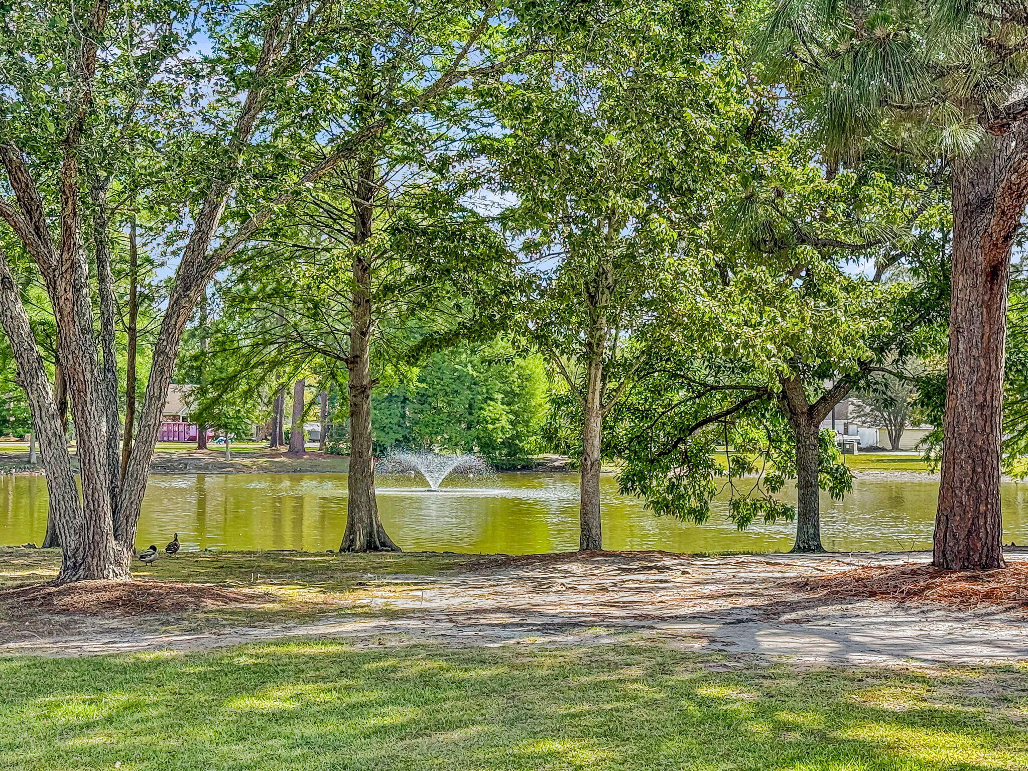 209 Longleaf Road Summerville, SC 29486 - Photo 42 of 64 CREM - Sangaree - amenities-7
