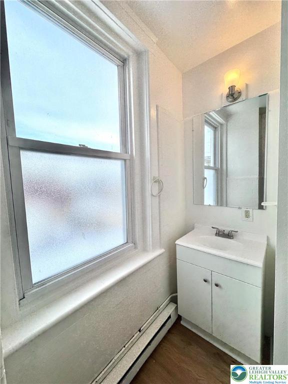 819 East 5th Street, Unit 2 Bethlehem, PA 18015 - Photo 7 of 19 a bathroom with a sink and a mirror