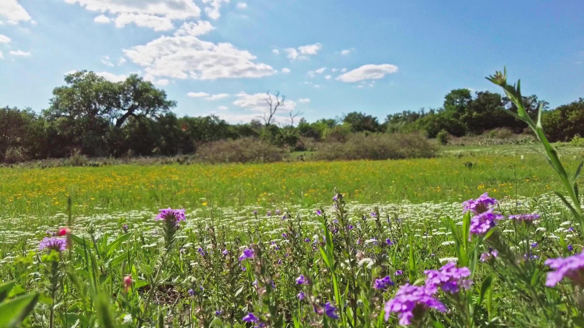 Lot 8 Legacy Ridge Burnet, TX 78611 - Photo 13 of 15 Gallery Image 13