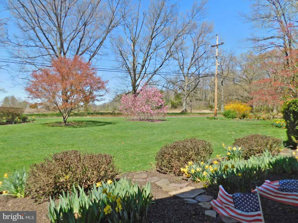 3183 Lower Mountain Road Furlong, PA 18925 - Photo 4 of 54 View From Front Porch