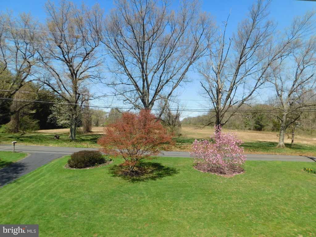 3183 Lower Mountain Road Furlong, PA 18925 - Photo 5 of 54 View From Front Door