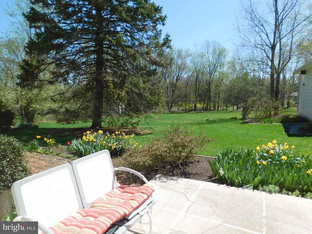 3183 Lower Mountain Road Furlong, PA 18925 - Photo 50 of 54 Patio View