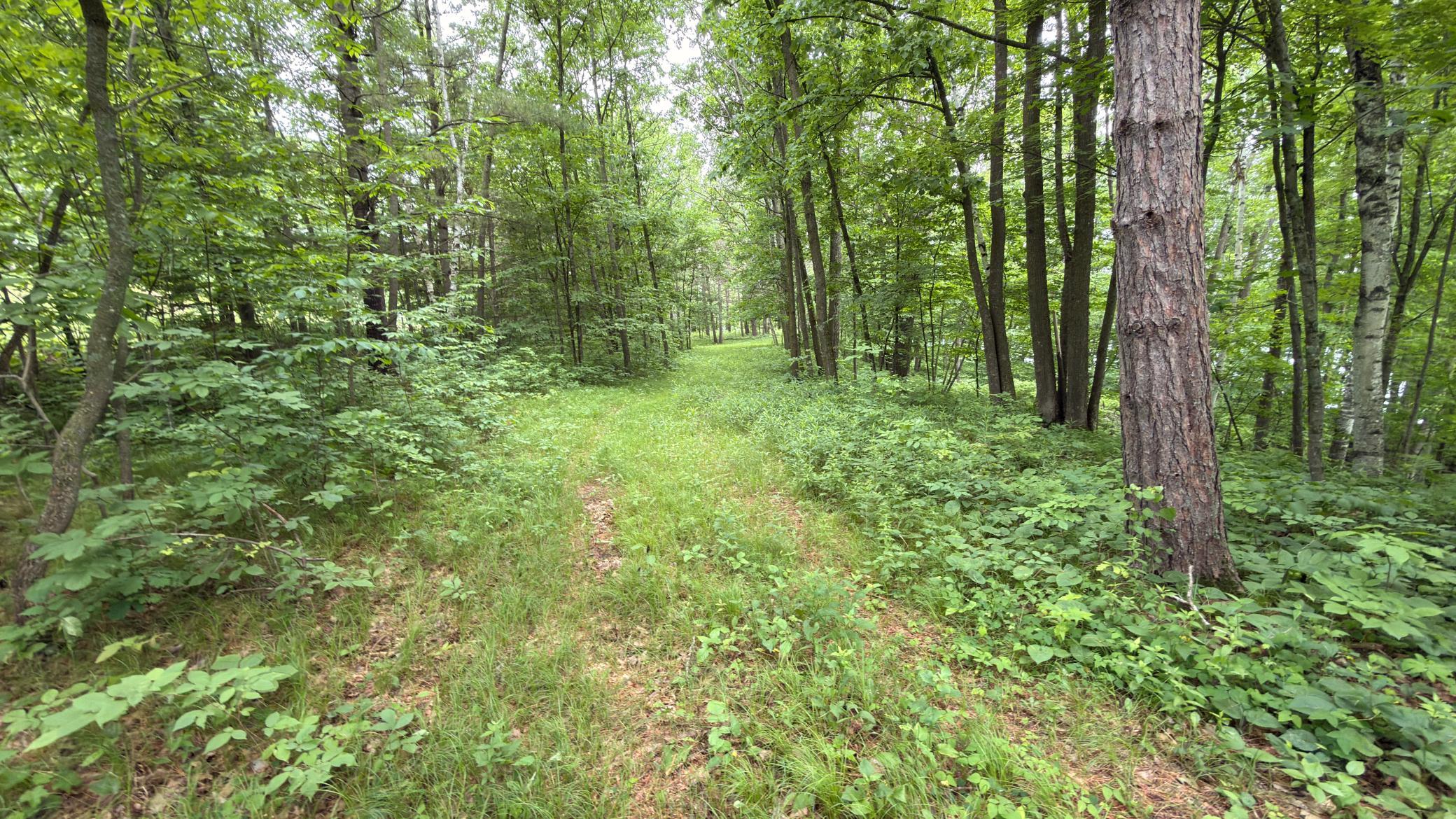 765 270th Cty Road Frederic, WI 54837 - Photo 5 of 17