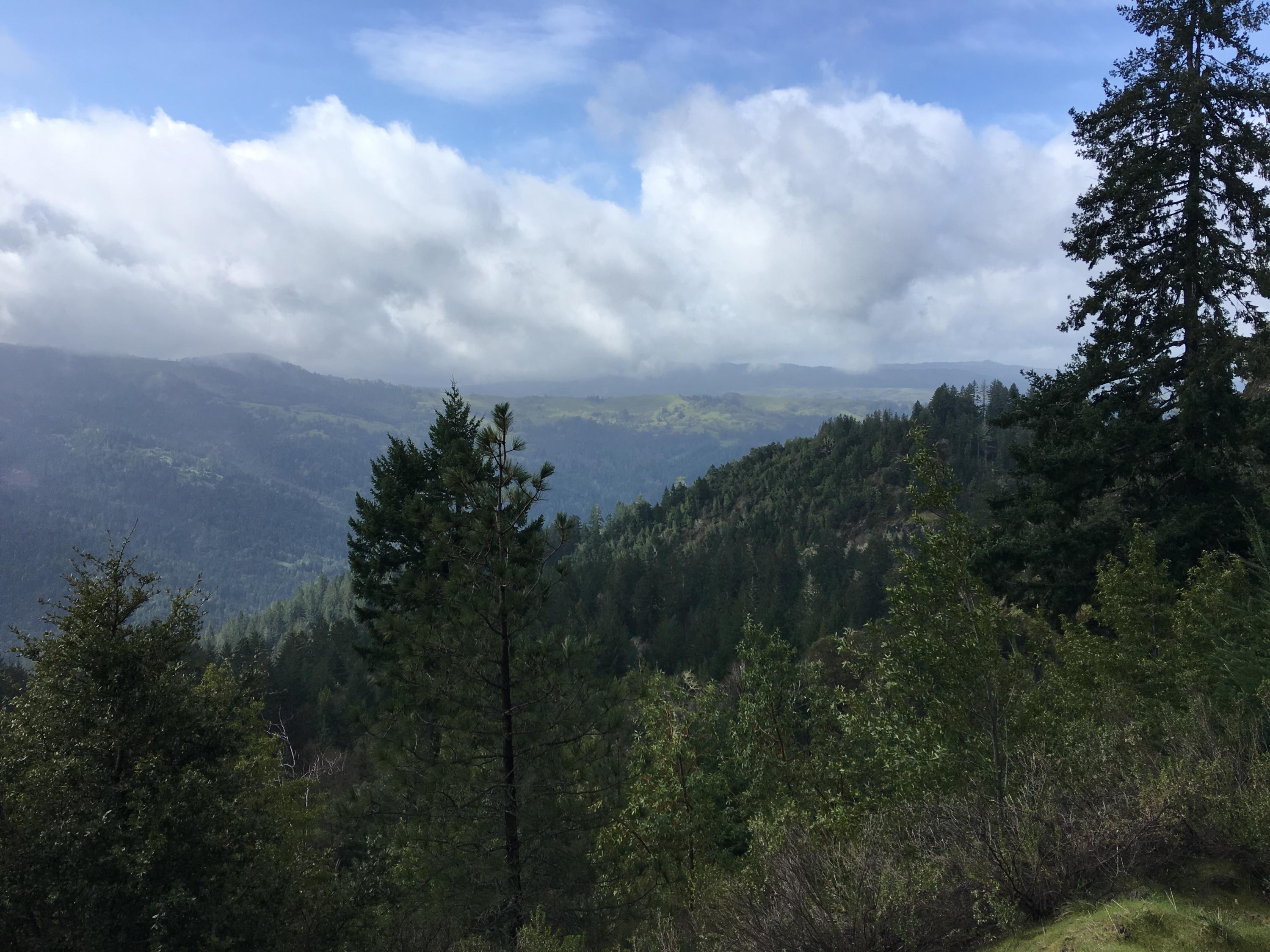200 Acres Humbug Creek Road Arcata, CA 95521 - Photo 3 of 12