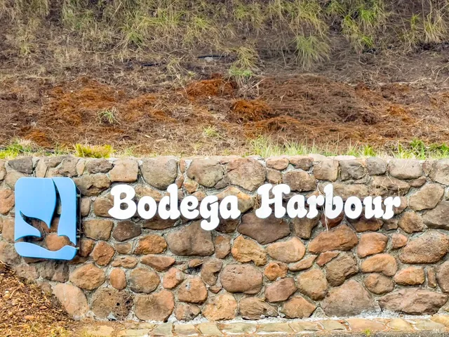 a view of a backyard of the house