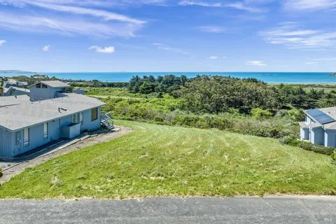 a view of a big yard with potted plants