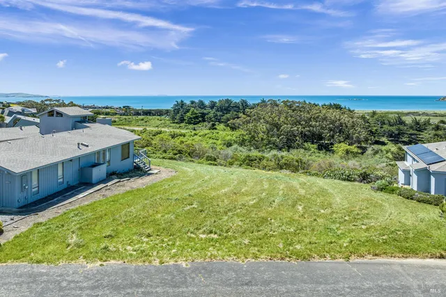 a view of a big yard with potted plants