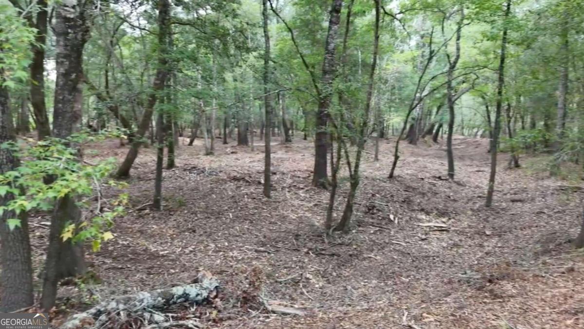 Lot 8 Emmaus Church Road St. George, GA 31562 - Photo 8 of 12