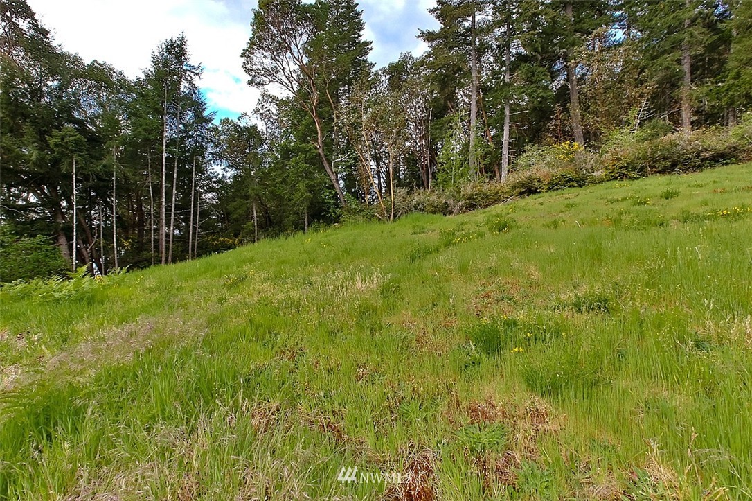5720 Northeast North Shore Road Belfair, WA 98528 - Photo 14 of 14 Gallery Image 14