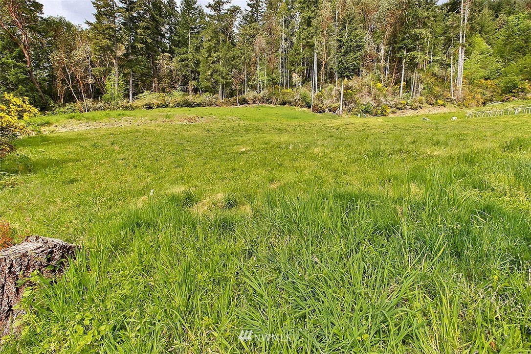 5720 Northeast North Shore Road Belfair, WA 98528 - Photo 5 of 14 Gallery Image 5