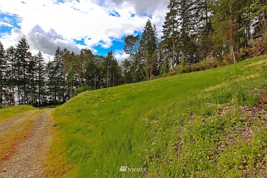 5720 Northeast North Shore Road Belfair, WA 98528 - Photo 10 of 14 Gallery Image 10
