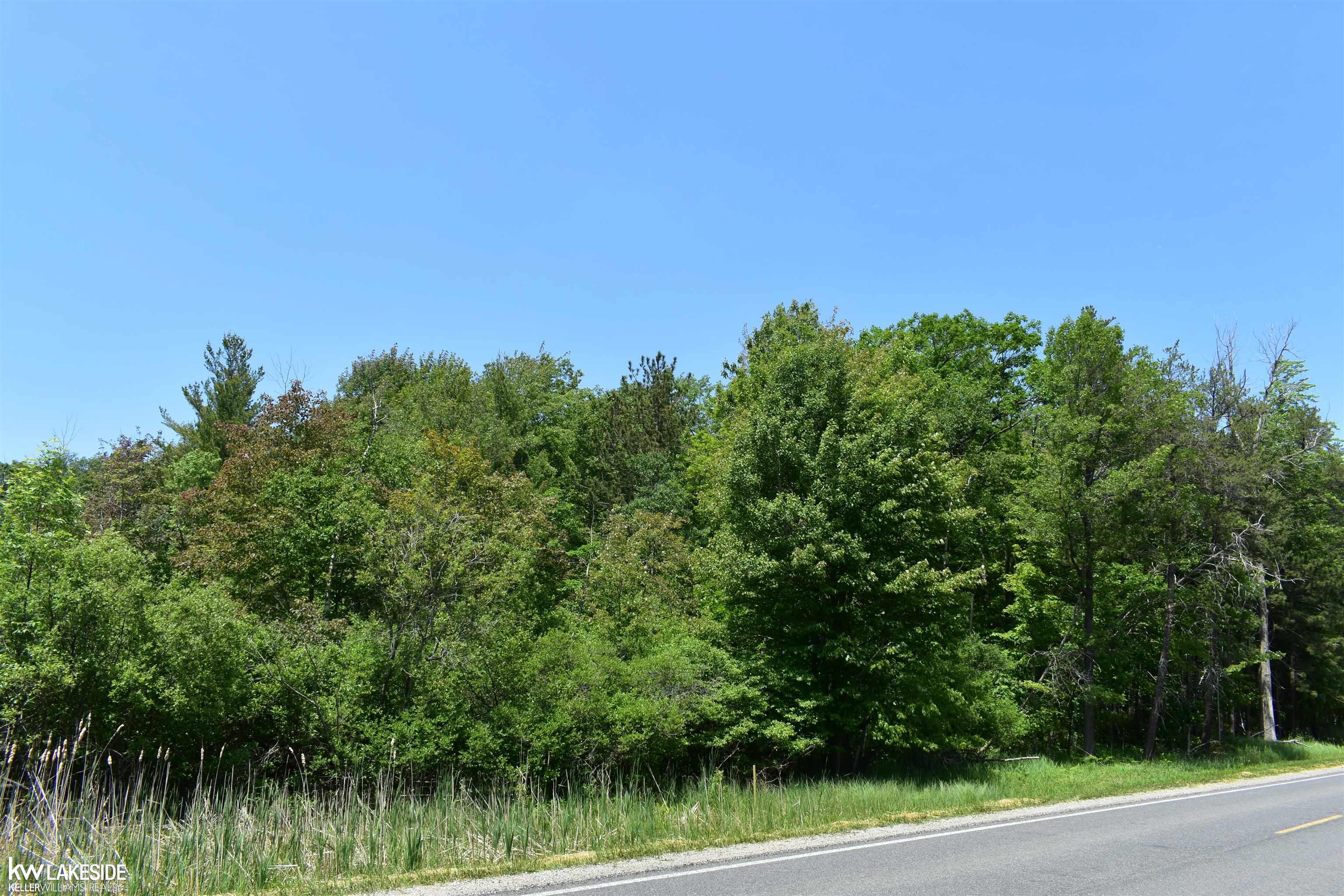 0 Oak Beach Road Port Austin, MI 48467 - Photo 4 of 22